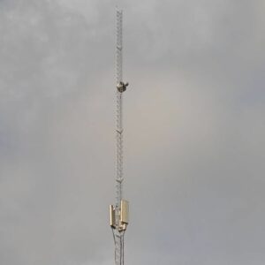 Tower Triangle 30 meter